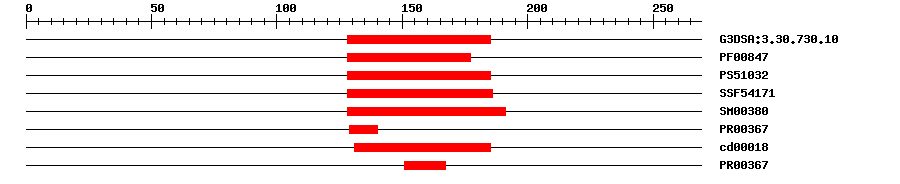 3D Structure