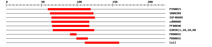 3D Structure