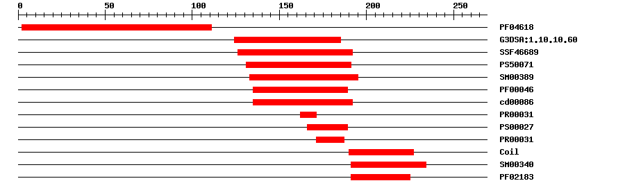 3D Structure