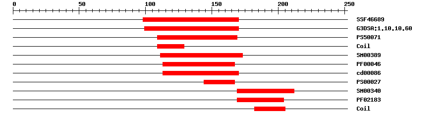 3D Structure