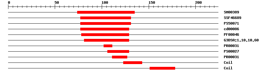 3D Structure