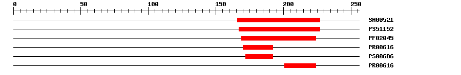 3D Structure