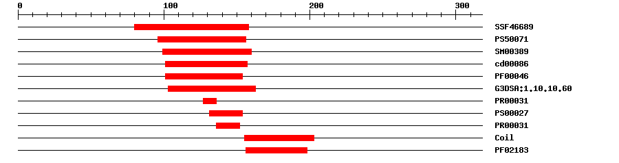 3D Structure