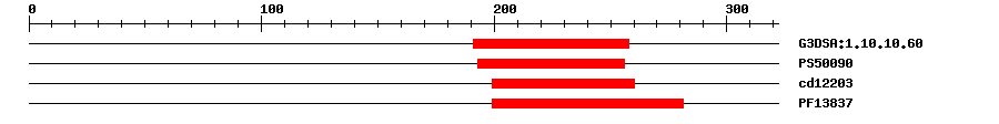 3D Structure