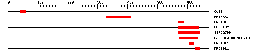 3D Structure