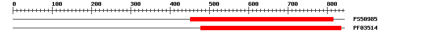 3D Structure