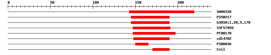 3D Structure