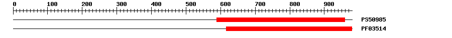 3D Structure