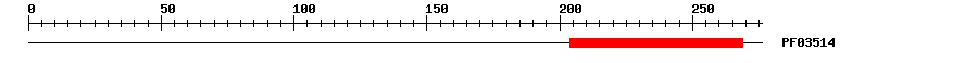 3D Structure