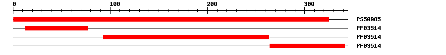 3D Structure