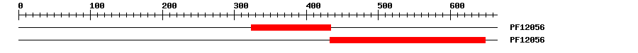 3D Structure