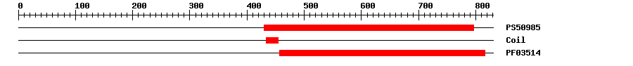 3D Structure