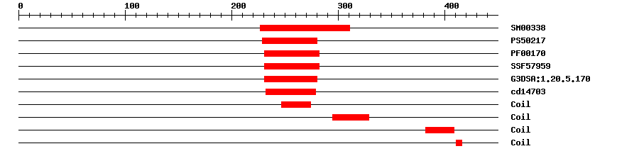 3D Structure