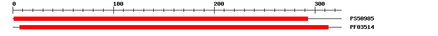 3D Structure