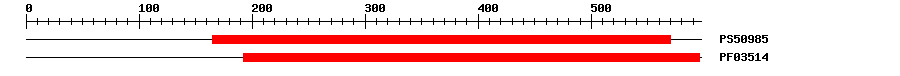 3D Structure