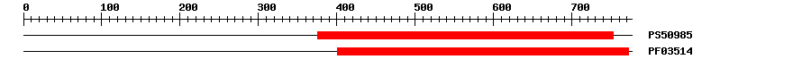 3D Structure