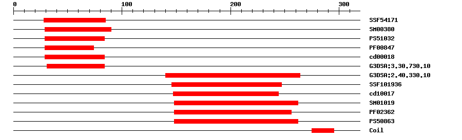 3D Structure