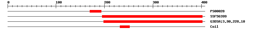 3D Structure