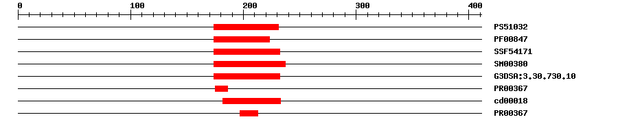 3D Structure