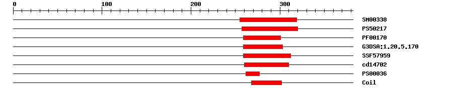 3D Structure