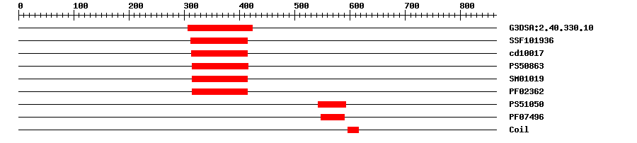 3D Structure