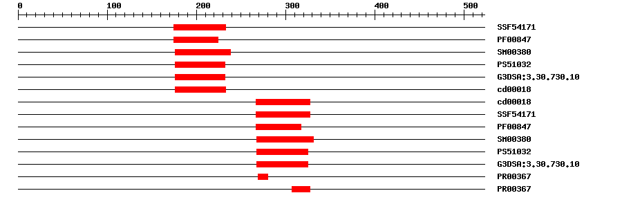 3D Structure