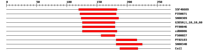 3D Structure