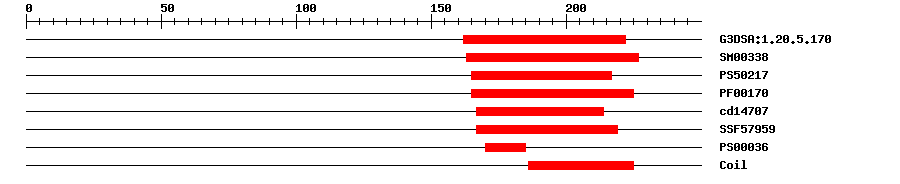 3D Structure