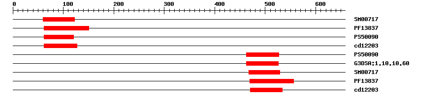 3D Structure