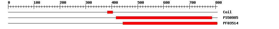 3D Structure