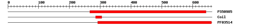 3D Structure