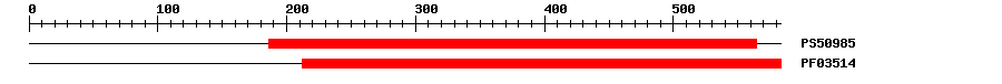 3D Structure