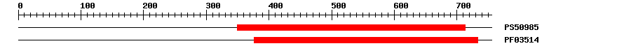 3D Structure