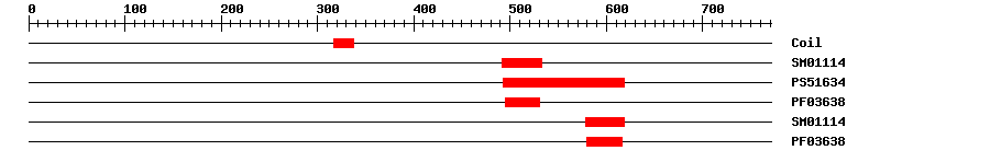 3D Structure