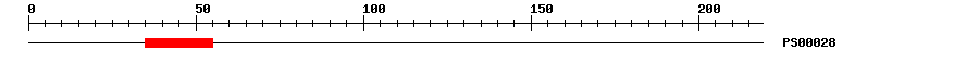 3D Structure