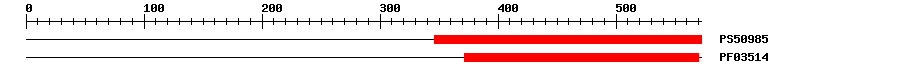 3D Structure