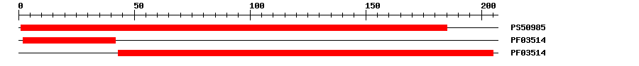 3D Structure