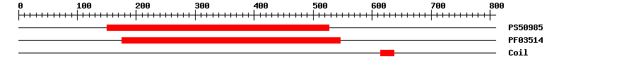 3D Structure