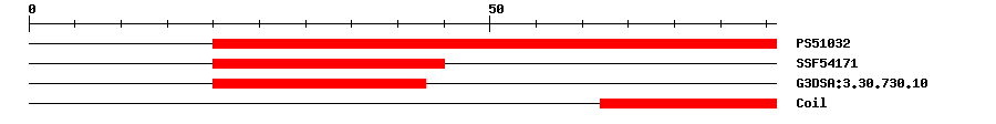 3D Structure