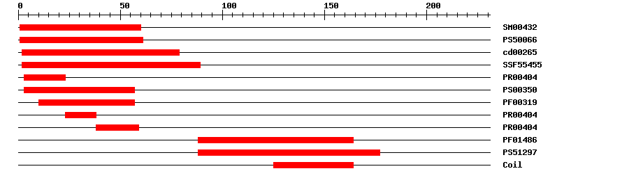 3D Structure