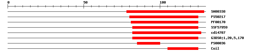 3D Structure