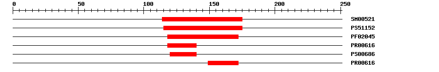 3D Structure