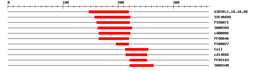 3D Structure