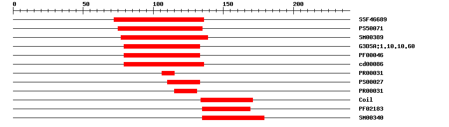 3D Structure