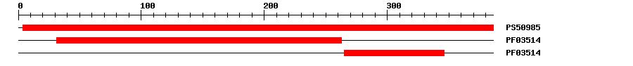 3D Structure