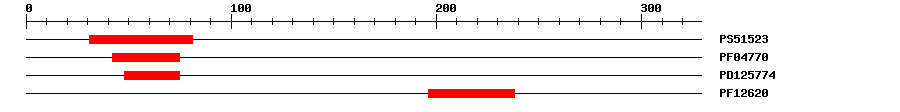 3D Structure