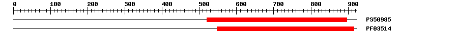 3D Structure