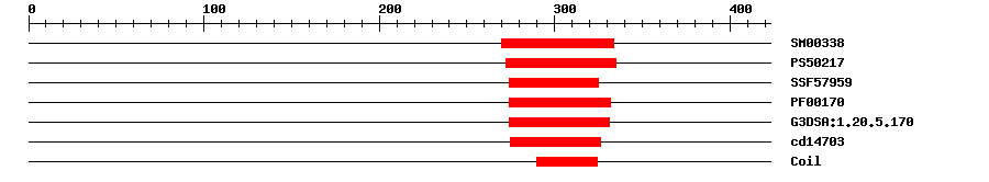 3D Structure