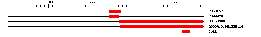 3D Structure