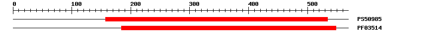 3D Structure